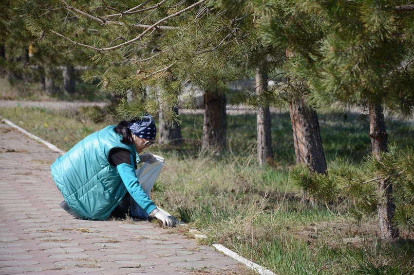 «Таза қаладан жасыл планетаға дейін»: Курчатов тұрғындары акцияға қатысты