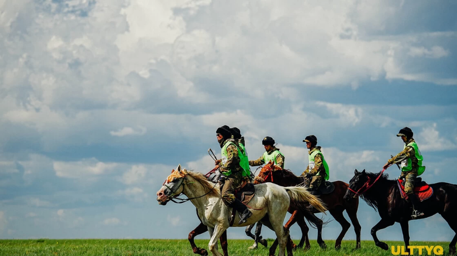 10-نان استام ەلدەن كەلەتىن شاباندوزدار 500 شاقىرىمعا جارىسادى