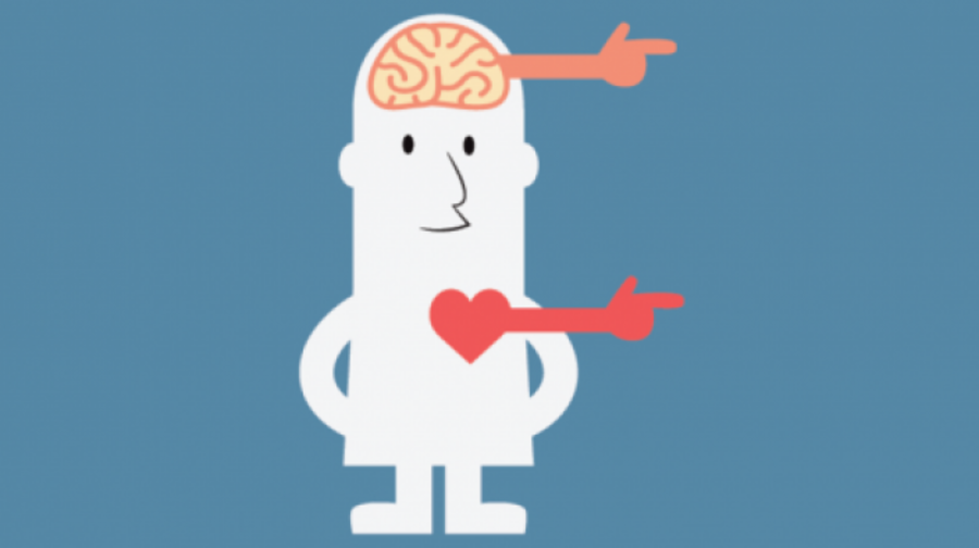 ەموسيونالدىق ينتەللەكتىنىڭ ەرەكشەلىكتەرى