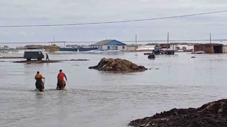 Климаттың өзгеруіне сай әрекет етуді үйрену қажет – су маманы