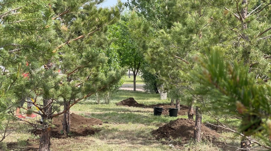 قازاقستاندا 2 ملرد اعاش وتىرعىزۋعا باعىتتالعان ءبىرقاتار جوبا جۇزەگە اسىرىلدى